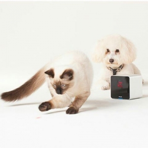 Petcube Camera The first gadget that allows pet owners to watch, talk to and play with their pets using a laser from their smartphone. AU$271.80