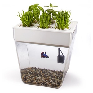 Water Garden—Grow Food Home A self-sustaining ecosystem that grows food for your family, kitchen, classroom, or office. AU$119.95