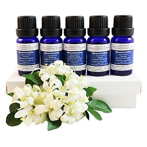 5 essential oil box set $105 - Scentcillo