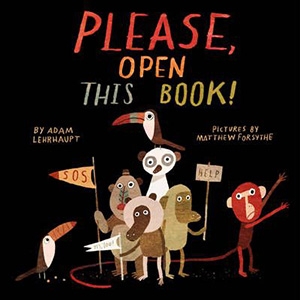 Please, Open This Book! by Adam Lehrhaupt $19.99 - Boomerang Books