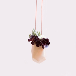 Hanging Vessel $30 - Hello Polly