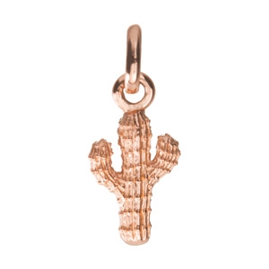 Cactus charm 18K rose gold vermeil $36 - Kirstin Ash