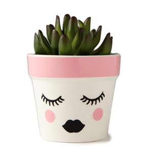 Small Face planter $19.99 - Cotton On