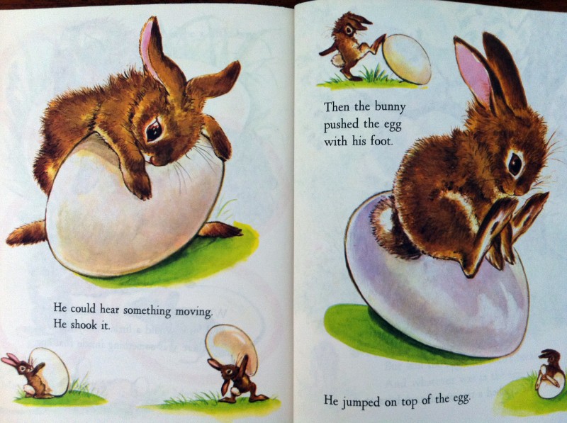 Bunny1