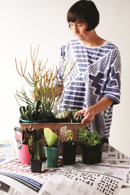 Find and Keep Succulent Garden by Beci Orpin via WeeBirdy.com