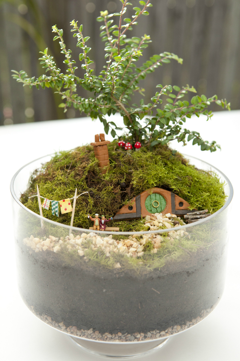 Hobbiton Miniature Garden via WeeBirdy.com