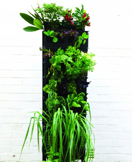 Sydney Design edible walls via WeeBirdy.com