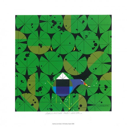 Charley Harper Gallinule Gator print via WeeBirdy.com