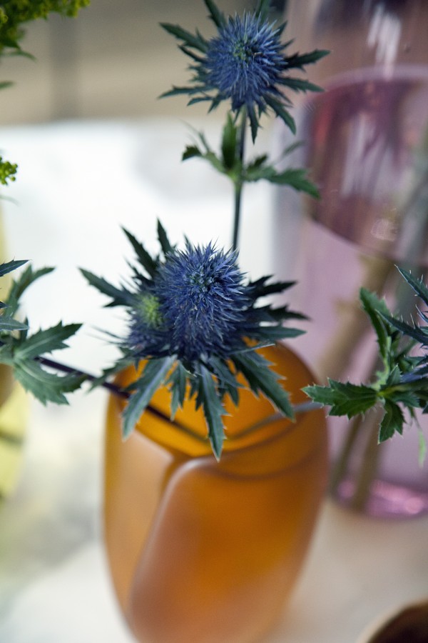 A touch of Scotland in a Dinosaur Designs vase. Photography by Simon Brown.