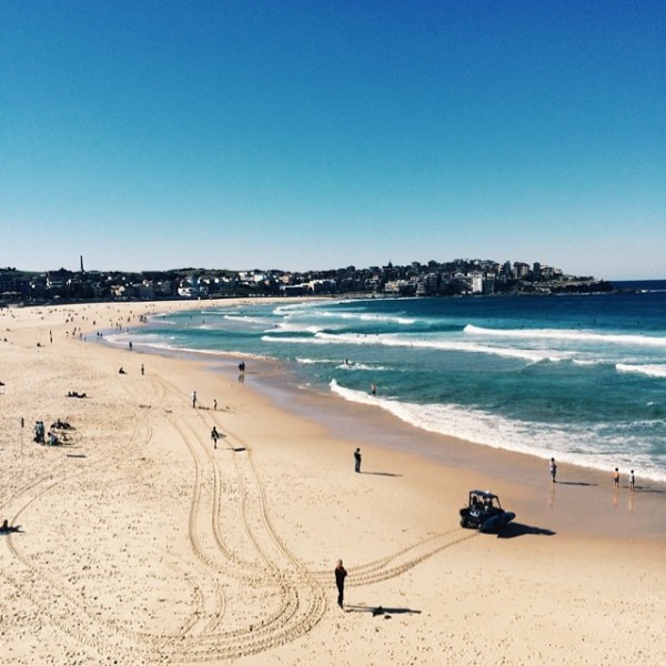 Bondi Beach: My Secret Sydney with Mr Jason Grant, via WeeBirdy.com.