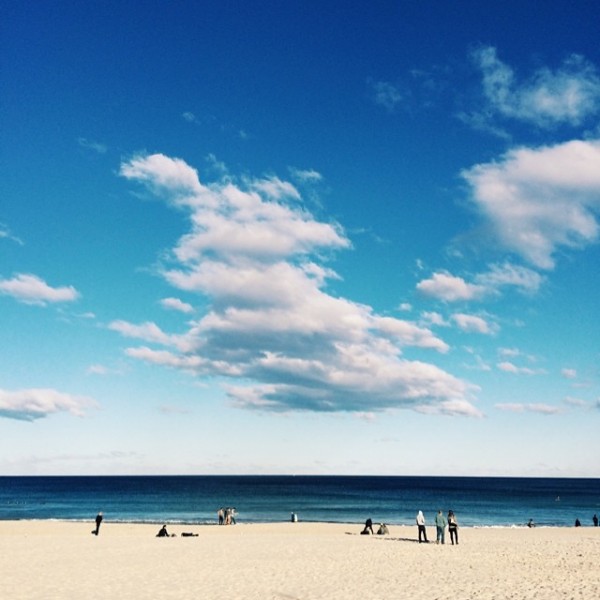 Bondi Beach: My Secret Sydney with Mr Jason Grant, via WeeBirdy.com.