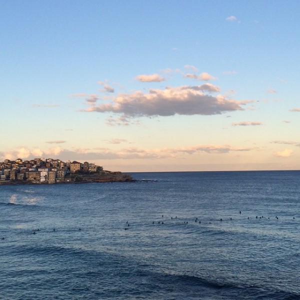 Bondi Beach: My Secret Sydney with Mr Jason Grant, via WeeBirdy.com.