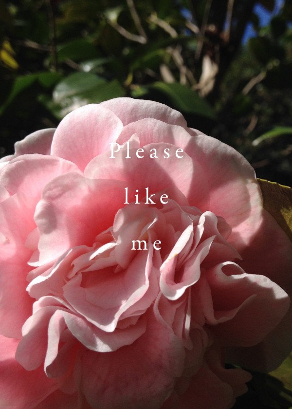 Free "Please Like Me" downloadable poster, via WeeBirdy.com.