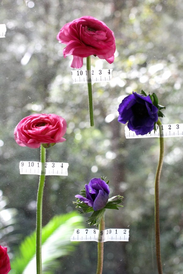 Typo's tape-measure tape looks great on windows with spring blooms. Photography by Wee Birdy. 