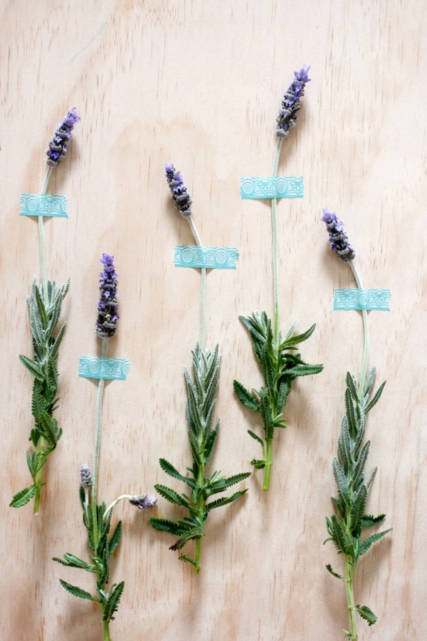 Decorate your walls for a party with fresh lavender and tape, via WeeBirdy.com