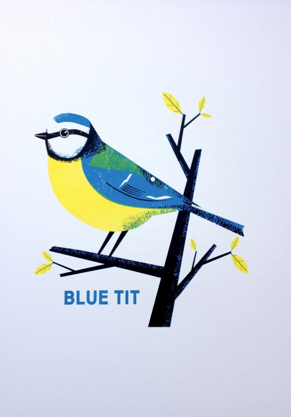 Blue tit four-colour screenprint, £65, by Chris Andrews via WeeBirdy.com.