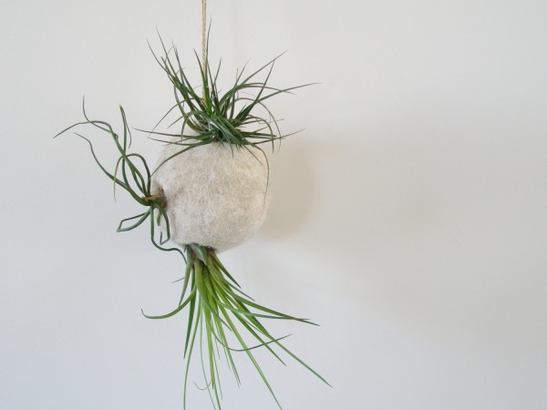 Etsy Design Award Finalist Highlights: Air Plant Bubble Planter in Llama Fibre by Fox Hill Llamas via WeeBirdy.com. 