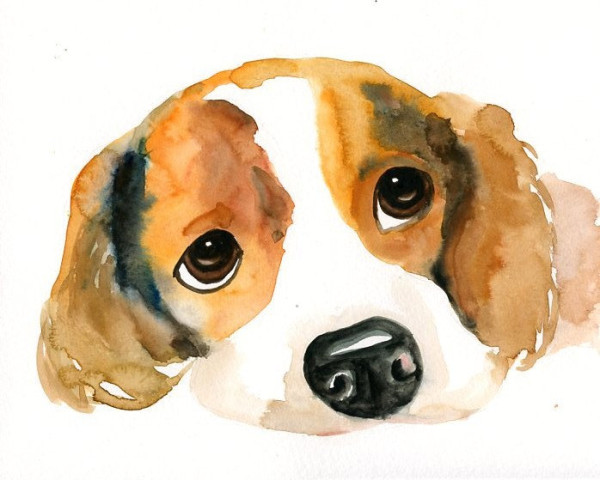 30 Amazing Personalised Presents to Order for Christmas now, via WeeBirdy.com: Custom original watercolour of your pet, AU$45.24, by DIMDI. 