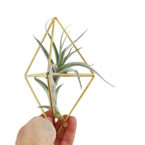 All that glitters: 35 gorgeous gifts for your favourite lady, via WeeBirdy.com.