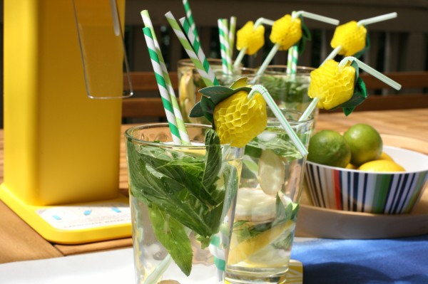 Trying to wean yourself off sugary soda drinks? Make super-easy fruit-infused soda water with ginger, mint and lemon, via WeeBirdy.com.