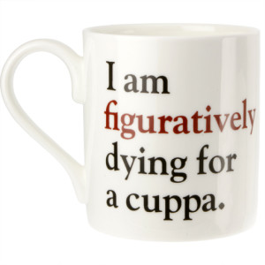 25 Excellent Presents for Book Lovers, via WeeBirdy.com: Literally - Grammar Grumble No. 5, £7.95, from the Literary Gift Company.