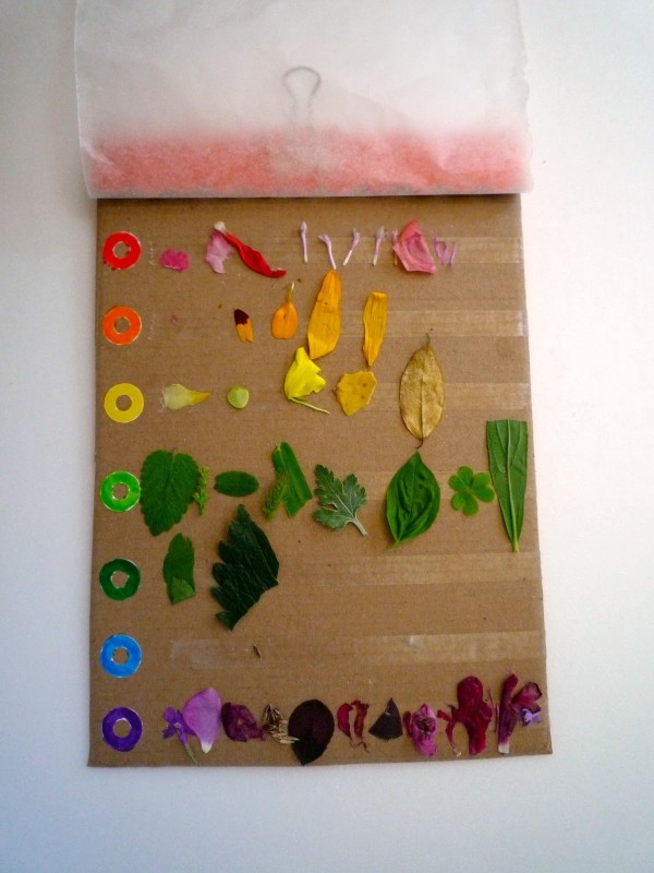 The best kids craft projects, via We-Are-Scout.com: rainbow nature collecting chart.