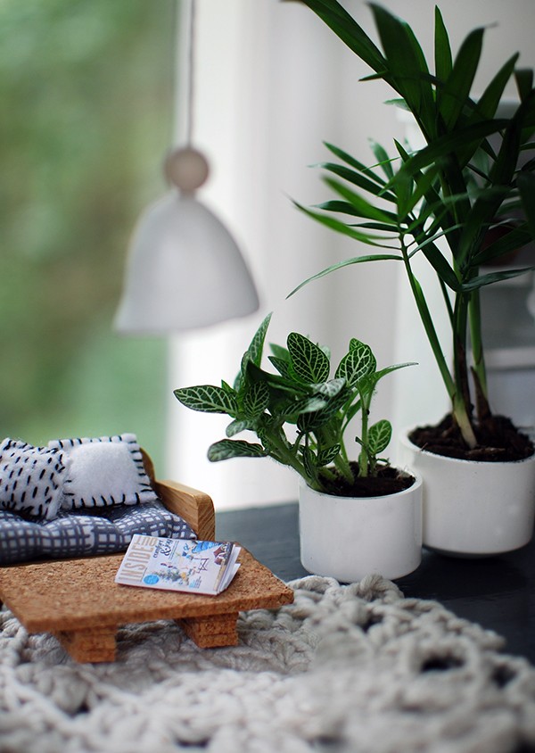  Live miniature plants in our Scandi summer house-style doll house makeover. Photos by Lisa Tilse for We Are Scout. Photo: Lisa Tilse for We Are Scout
