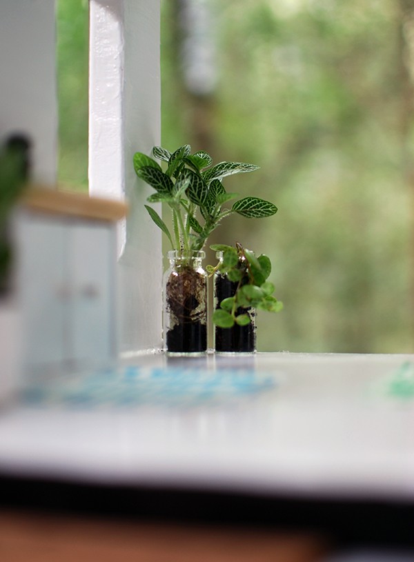  Live miniature plants in our Scandi summer house-style doll house makeover. Photos by Lisa Tilse for We Are Scout. Photo: Lisa Tilse for We Are Scout