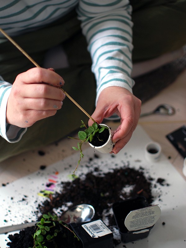 Filling a plastic end cap with potting mix and a terrarium plant. Skewers and spoons come in handy here! Scandi summer house-style doll house makeover. Photos by Lisa Tilse for We Are Scout. Photo: Lisa Tilse for We Are Scout