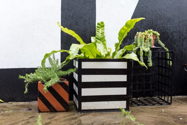 Bold geo planters: the London apartment of interior designer and co-founder of Darkroom, Rhonda Drakeford.