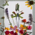 12 gorgeous kids craft ideas for the school holidays Gorgeous kids craft ideas: Make and Decorate Your Own Nature Paper Dolls by Mer Mag.
