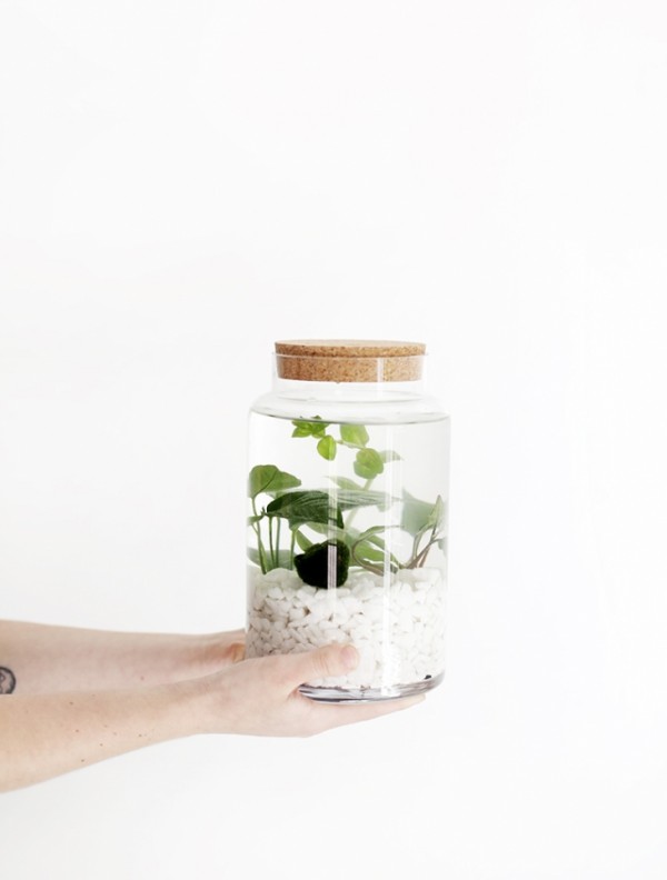 Clever craft ideas: DIY water garden by The Merrythought.
