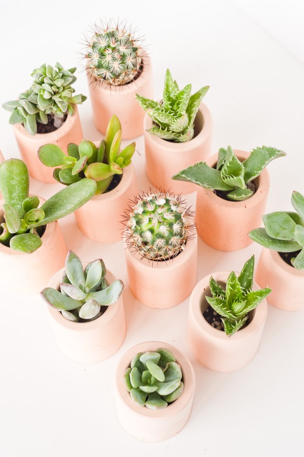 DIYs for your home: Mini pink plaster planters tutorial by Paper n Stitch blog.