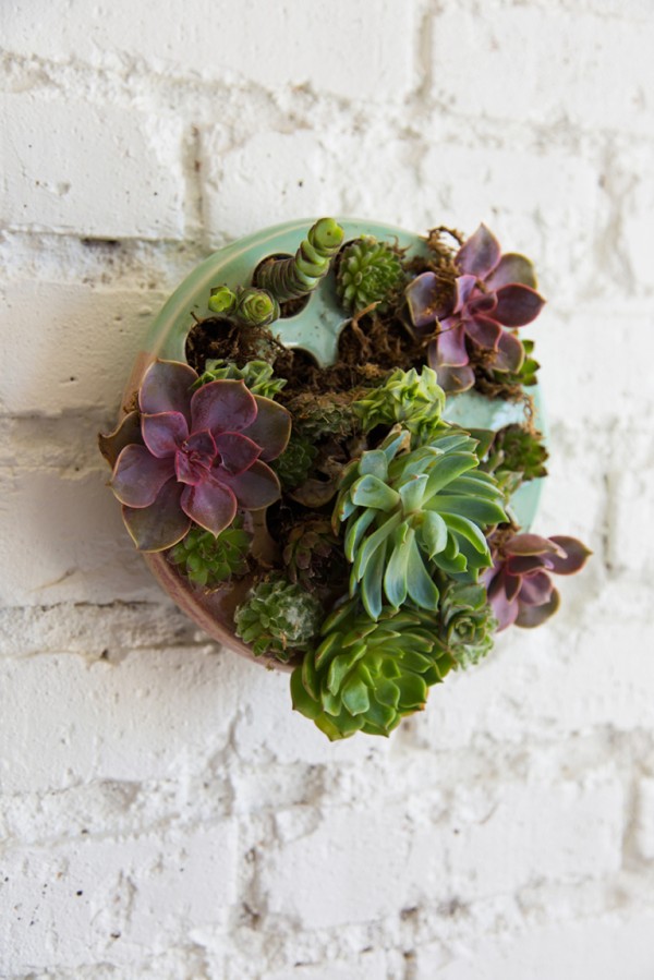 DIYs for your home: Succulent planter for the wall by The House that Lars Built.