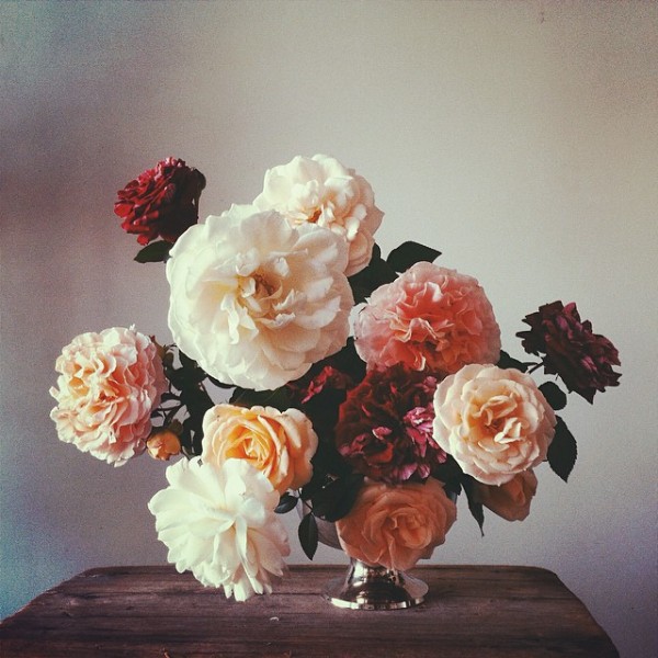 nstagram Scout: Mary Lennox, flower and garden, Berlin (Ruby Barber). Photo by Mary Lennox/Instagram.