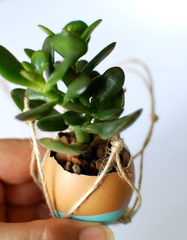 Best DIY projects with plants, via we-are-scout.com