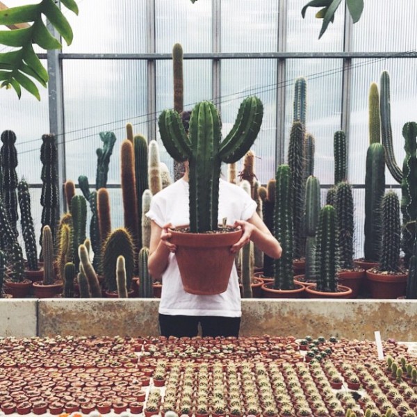 nstagram Scout: Mary Lennox, flower and garden, Berlin (Ruby Barber). Photo by Mary Lennox/Instagram.