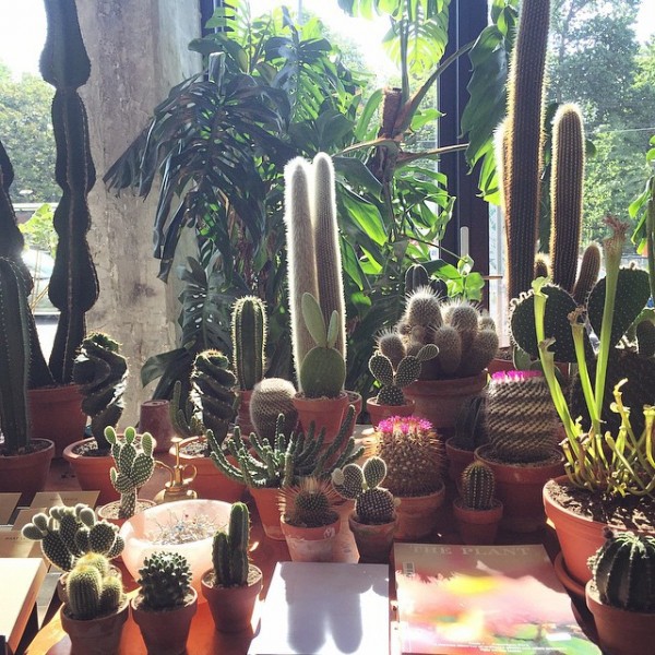 nstagram Scout: Mary Lennox, flower and garden, Berlin (Ruby Barber). Photo by Mary Lennox/Instagram.