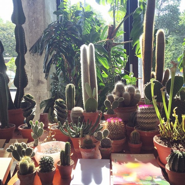 nstagram Scout: Mary Lennox, flower and garden, Berlin (Ruby Barber). Photo by Mary Lennox/Instagram. 