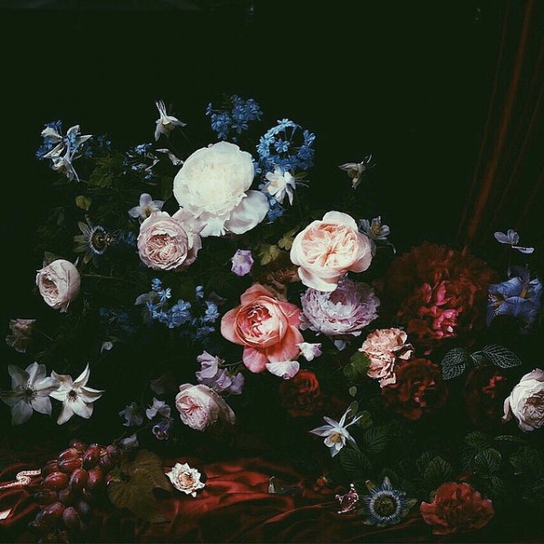 nstagram Scout: Mary Lennox, flower and garden, Berlin (Ruby Barber). Photo by Mary Lennox/Instagram.