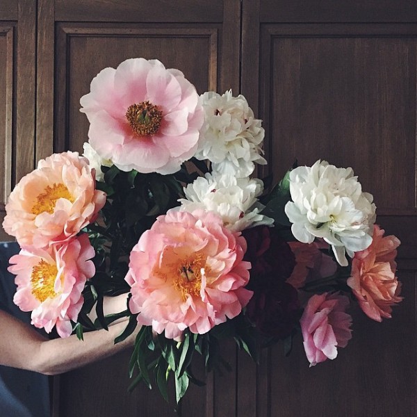 nstagram Scout: Mary Lennox, flower and garden, Berlin (Ruby Barber). Photo by Mary Lennox/Instagram.