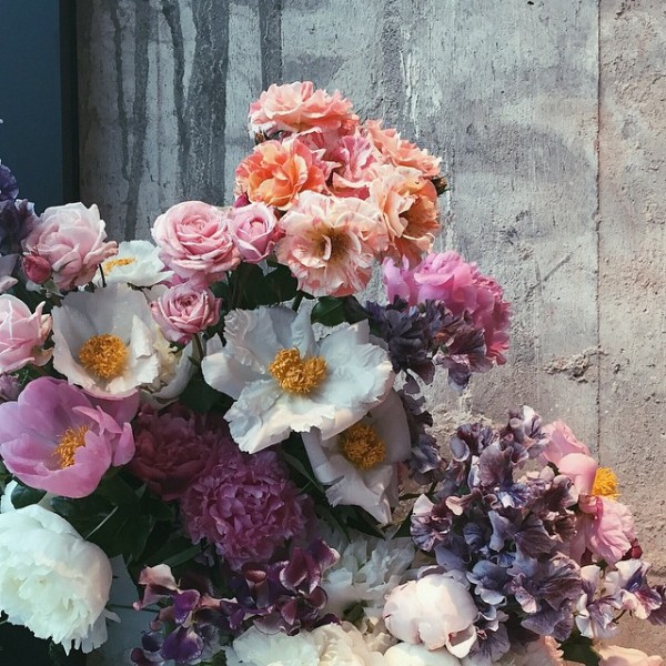 nstagram Scout: Mary Lennox, flower and garden, Berlin (Ruby Barber). Photo by Mary Lennox/Instagram.