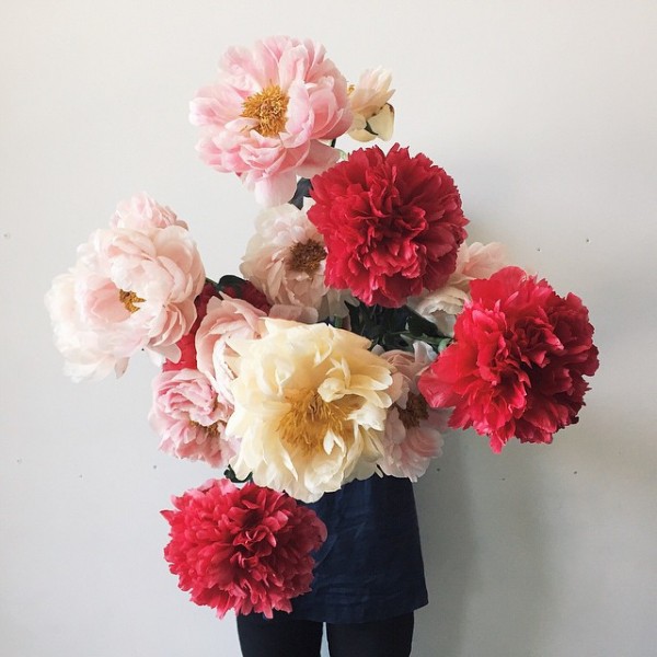 Instagram Scout: Mary Lennox, flower and garden (Ruby Barber).