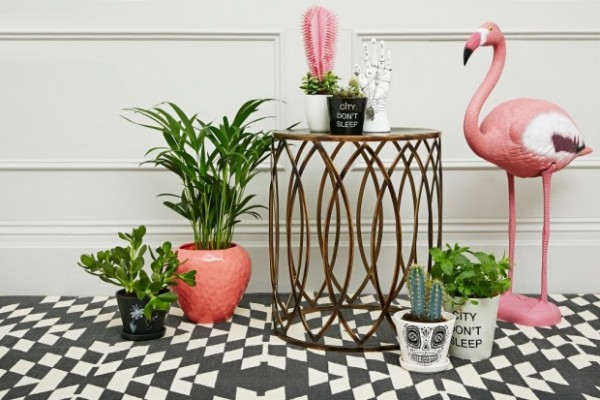 The key to matching pots and plants is to look at the shape and style of your plant. Photo: Urban Outfitters