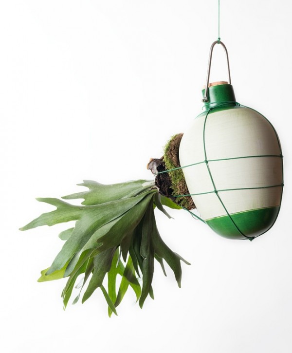 Add a touch of greenery to your ceiling with a hanging potted elkhorn. Via Trendland.