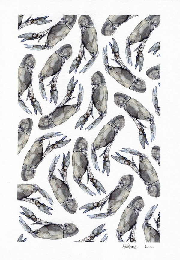 Yabby natural history signed print, $15, by Hollie Draws Nature.