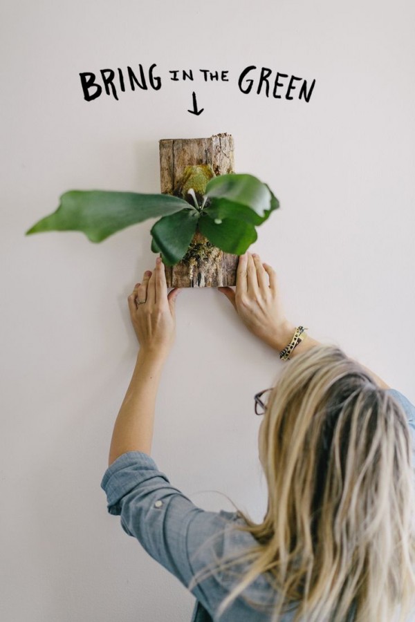 Best DIY projects with plants, via we-are-scout.com