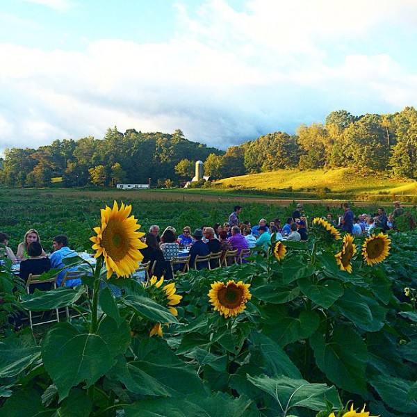Outstanding in the Field, via We-Are-Scout.com.