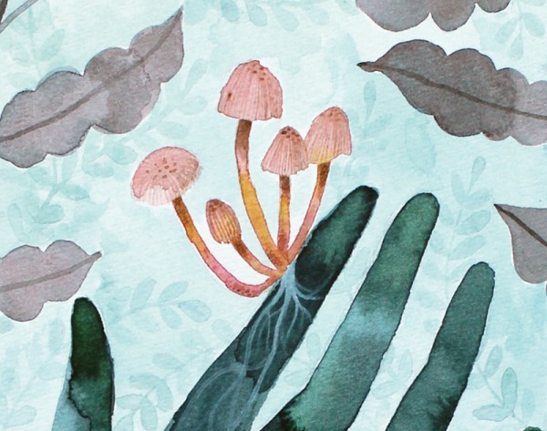 Nurture art print, $35, by Amelia Herbertson.