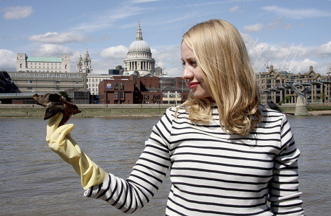 Beachcombing the Thames for ancient finds - Rebecca Lowrey Boyd/ We Are Scout.